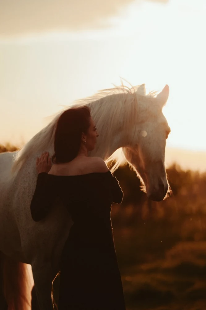 Fotografia z fotenia s koňom vo voľnej prírode